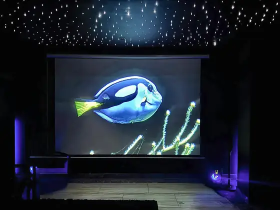 Starlight home cinema. A projector screen under a fibre-optic starry ceiling.