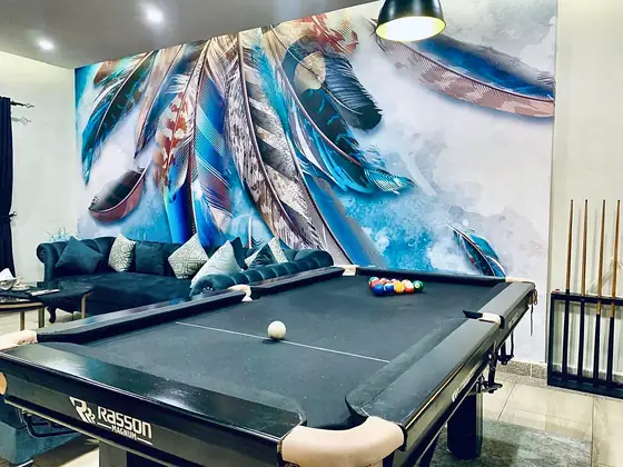 Pool table with ball set, cue rack and the feather mural.