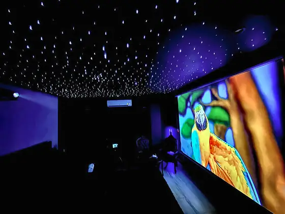 Home cinema with a starlight fibre-optic ceiling and a large projector screen.